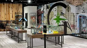 Greenlight Recreational Dispensary Park City