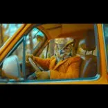 CAR OWL