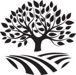 All Season Tree Service