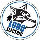 Lobo Consulting Inc.