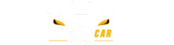 Houston Car Service