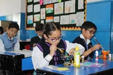 Cambridge International School