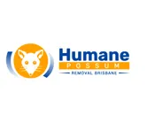 Humane Possum Removal Brisbane