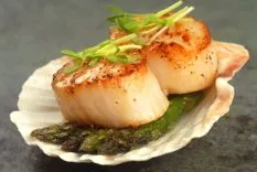 A&M Atlantic Seafood, Inc