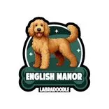 English Manor Labradoodles