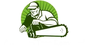 Amarillo Tree Removal