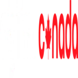 Digilink Canada