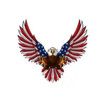 Made In The USA Store