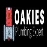 Oakland Plumbing Experts