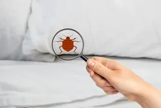 Doug the Bug Termite & Pest Control Inc.