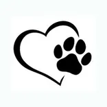 Mavericks Dog Grooming