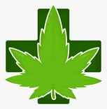 Canna SeaBreeze
