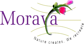 MORAYA GLOBAL