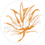 La Dona Mezcaleria