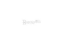 bagsnpotli.in