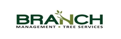 Branch Management