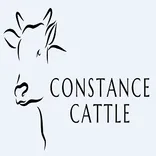 Constance Cattle