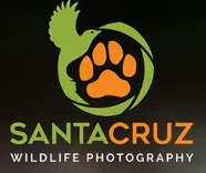 Santa Cruz Wildlife Photography
