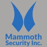 Mammoth Security Inc. New Britain