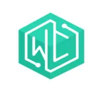 Web Cures Digital HealthCare SEO Hialeah