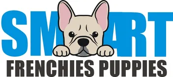 Smart Frenchies Puppies