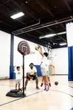 Benchmark Sports - Basketball Bhangra | Volleybal