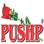 Pushp Henna