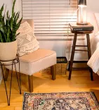 Area Rug and Carpet Cleaning Company
