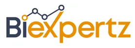 BI Expertz