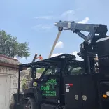C&N Tree Service