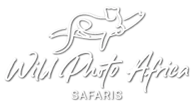 Wild Photo Africa Safaris