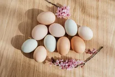 S & R Egg Ranch
