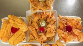 Sharks Fish & Chicken