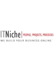 IT Niche