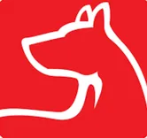 Sit Means Sit Dog Training Syracuse