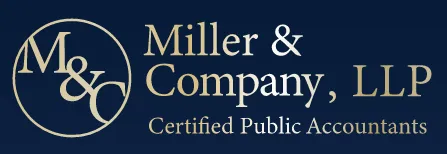 IRS Tax Audit Accountant Long Island