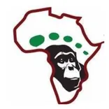 African Gorilla Tour