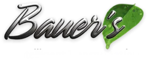 Bauer's Intelligent Transportation