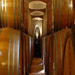 Cellar Cooling System Ltd