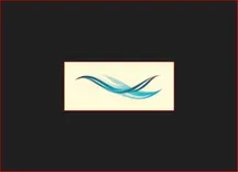 Blue Ocean Capital Advisors