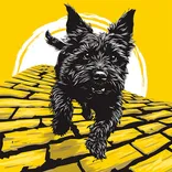 Dogs of Oz Photography