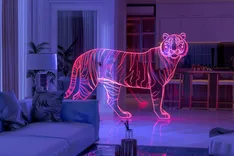 Vision 3D