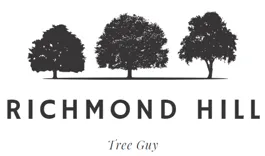 Richmond Hill Tree Guy