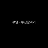부달 - 부산달리기