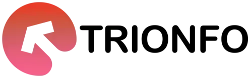 Trionfo IT Services