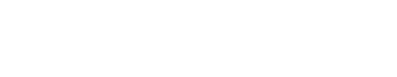 Vivid Rug Cleaning Brisbane