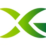Xtreme Green Synthetic Turf