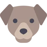 Dog hotel