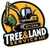 Tree Stump Removal and Excavation