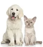 Sassy’s Country Paw Spa LLC